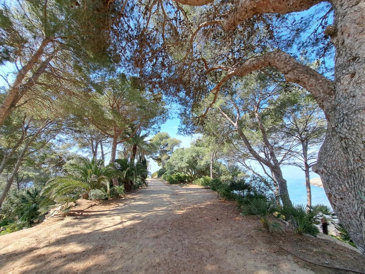 Gran Apartamento Vistas Mar سالو المظهر الخارجي الصورة